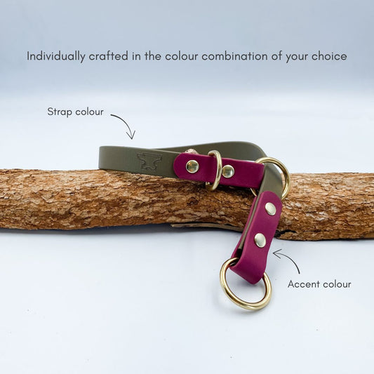 Slip Dog Collar - Waterproof BioThane® Custom Dog Collar