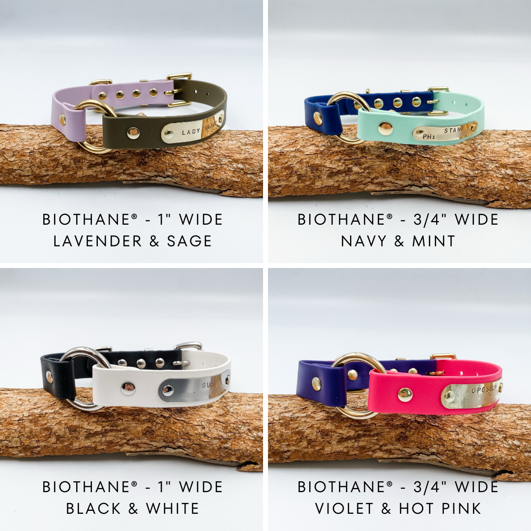Waterproof BioThane Dog Collar - custom O ring dog collar - made in NZ by Kinfolk Leather. Various Colours and Widths available
