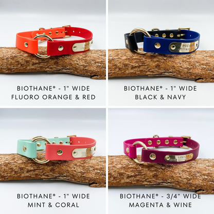 Waterproof BioThane Dog Collar - custom O ring dog collar - made in NZ by Kinfolk Leather. Various Colours and Widths available