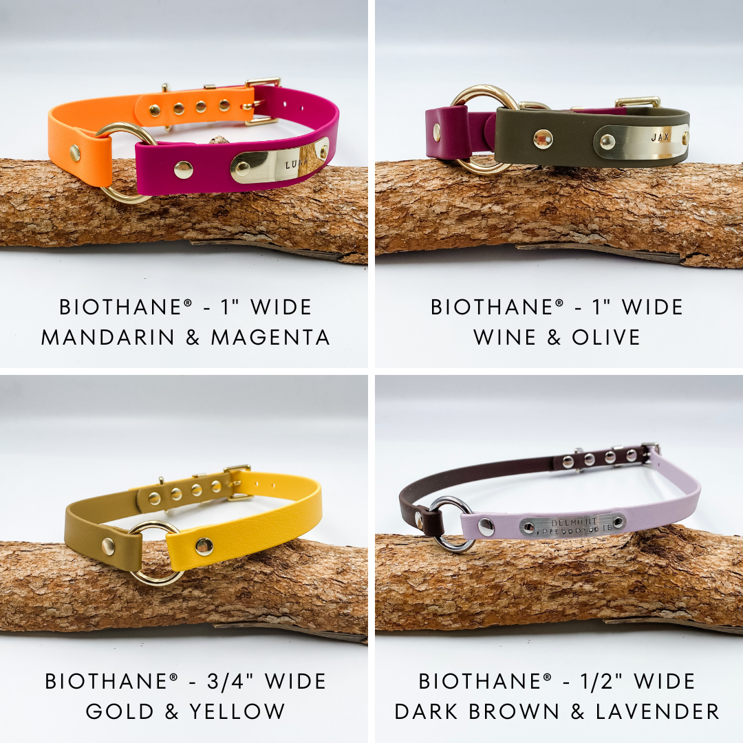 Waterproof BioThane Dog Collar - custom O ring dog collar - made in NZ by Kinfolk Leather. Various Colours and Widths available