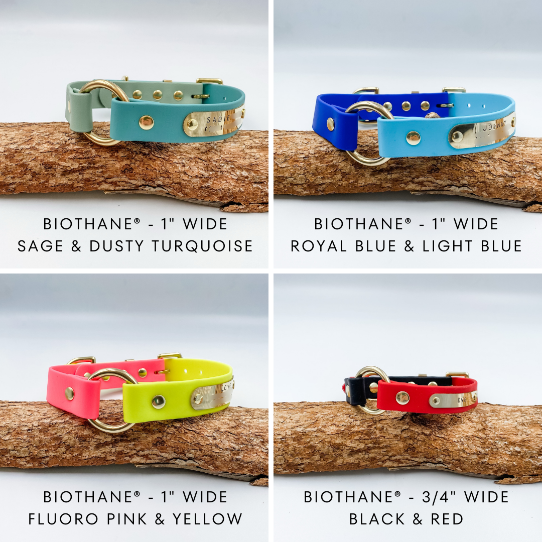 Waterproof BioThane Dog Collar - custom O ring dog collar - made in NZ by Kinfolk Leather. Various Colours and Widths available