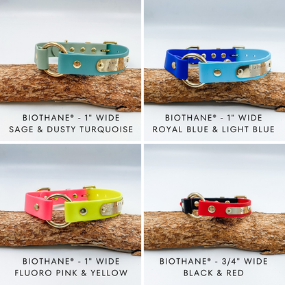 Waterproof BioThane Dog Collar - custom O ring dog collar - made in NZ by Kinfolk Leather. Various Colours and Widths available
