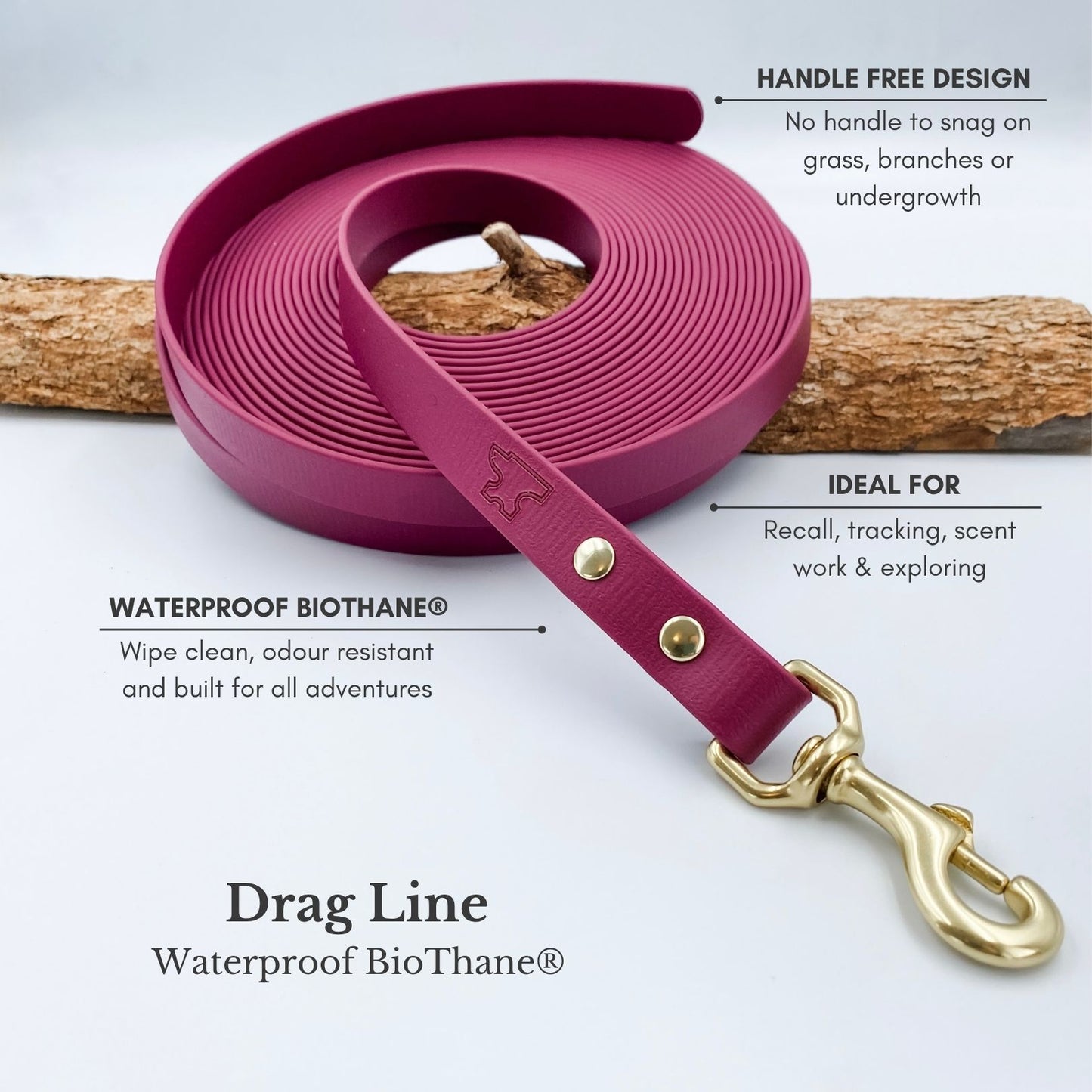 BioThane® drag line showing handle-free design for recall training and exploring