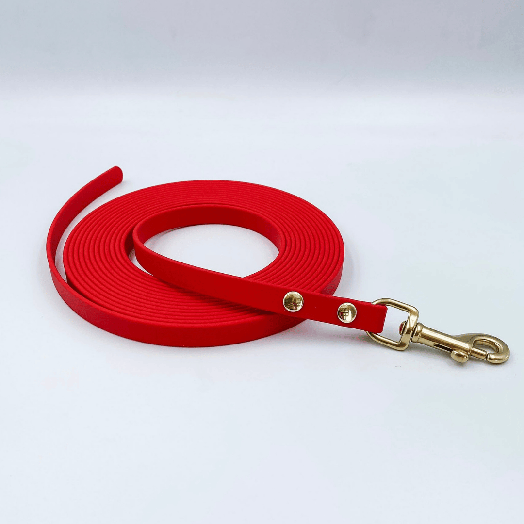 Waterproof BioThane® Drag Line - Trailing Long Line Dog Lead