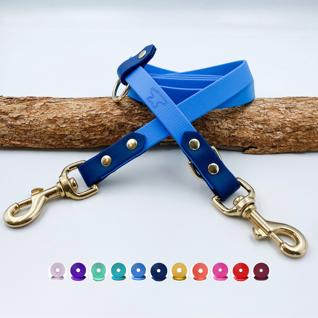 Blue dog leash with gold hardware on a white background with color swatches below.
