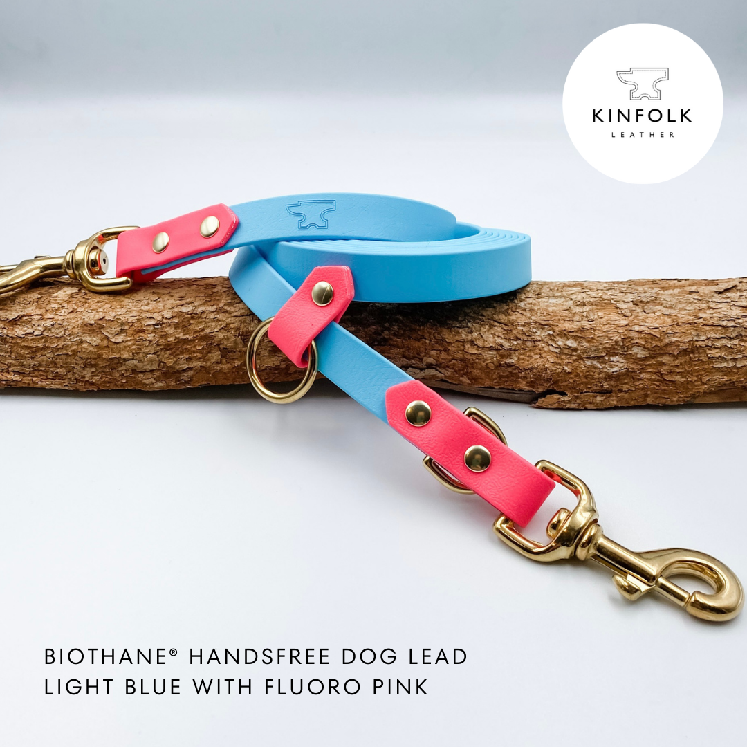 A Handsfree Dog Lead with nameplate Made from Waterproof Biothane in Light Blue and Pink - custom made by Kinfolk Leather in New Zealand