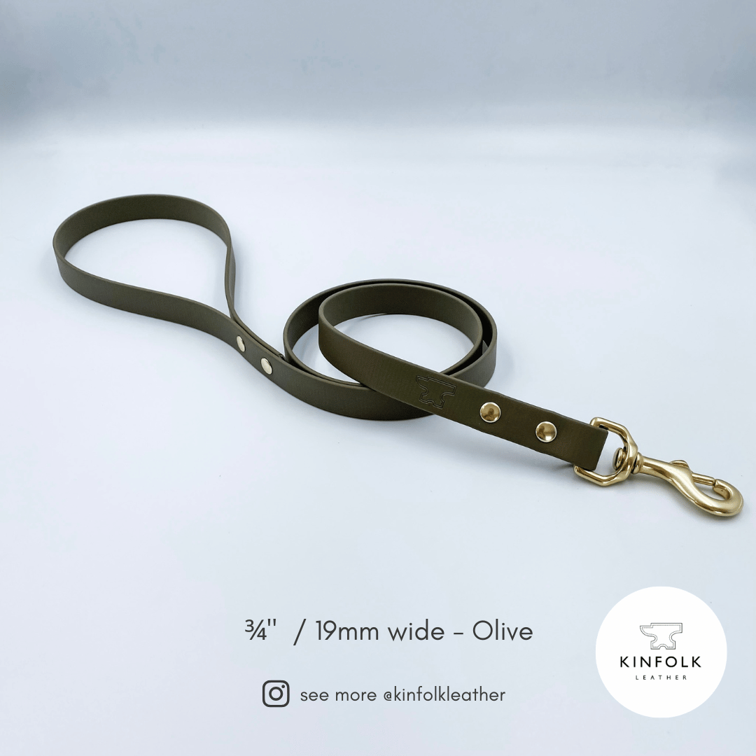 Regular Lead – Waterproof BioThane® Custom Dog Lead