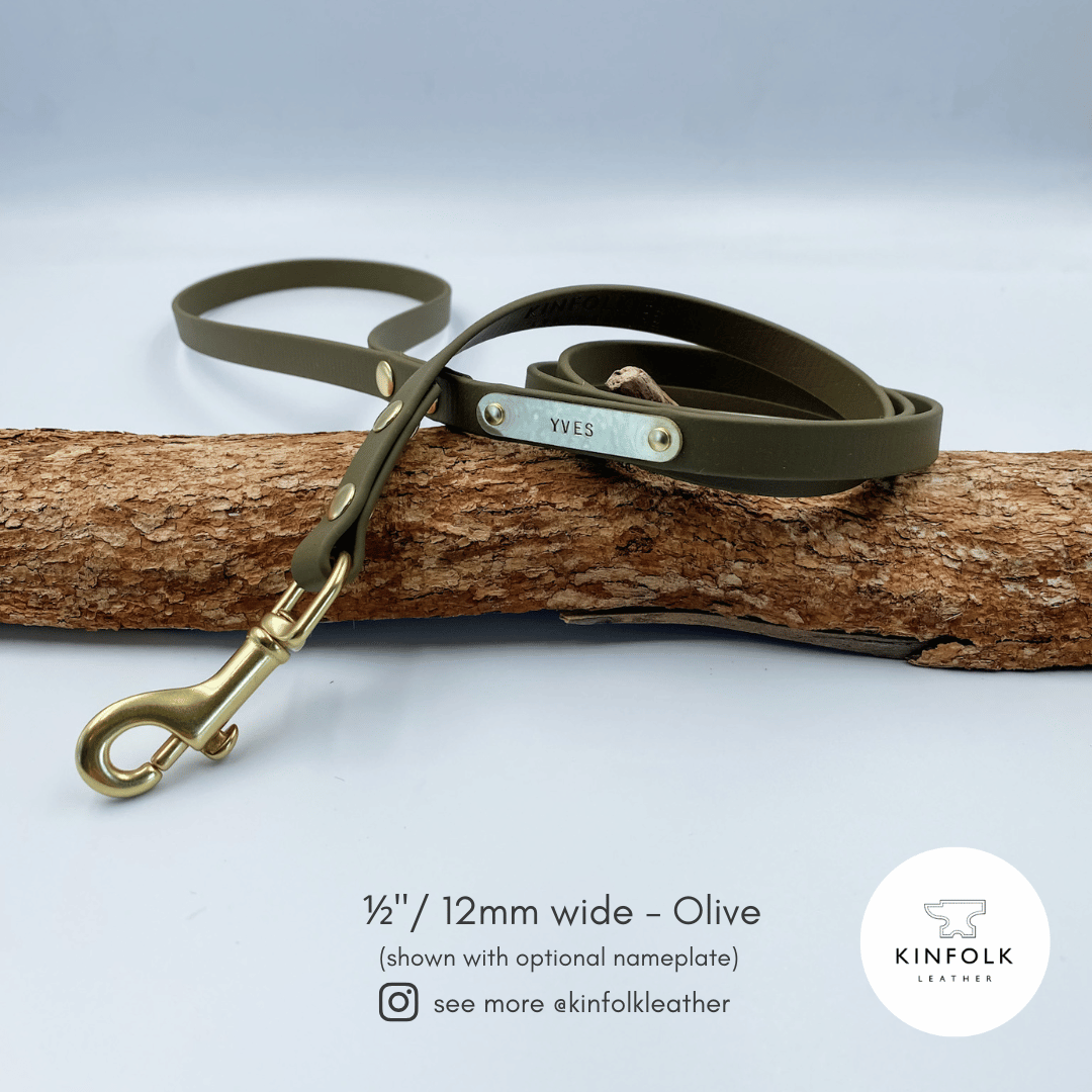 Regular Lead – Waterproof BioThane® Custom Dog Lead