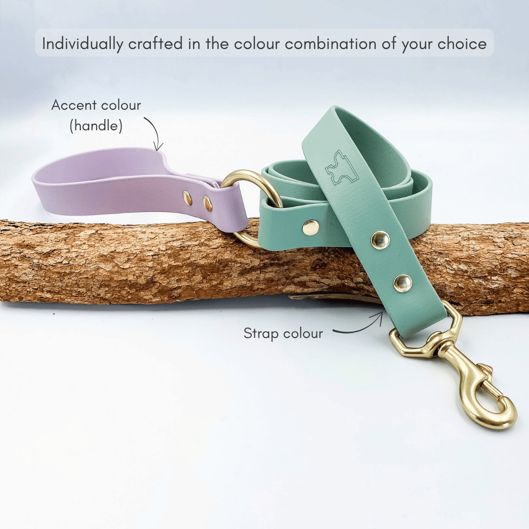 Two Tone Classic Lead – Waterproof BioThane® Custom Dog Lead