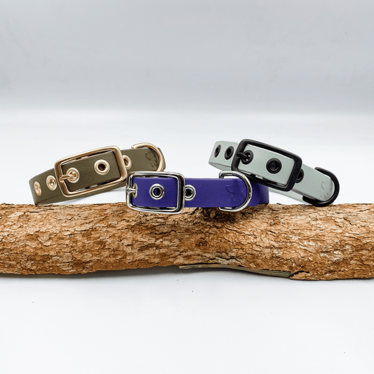 Custom Made Dog Collar with handstamped nameplate - Waterproof Biothane and Solid Brass - View from back showing buckles and eyeletsKinfolk Leather
