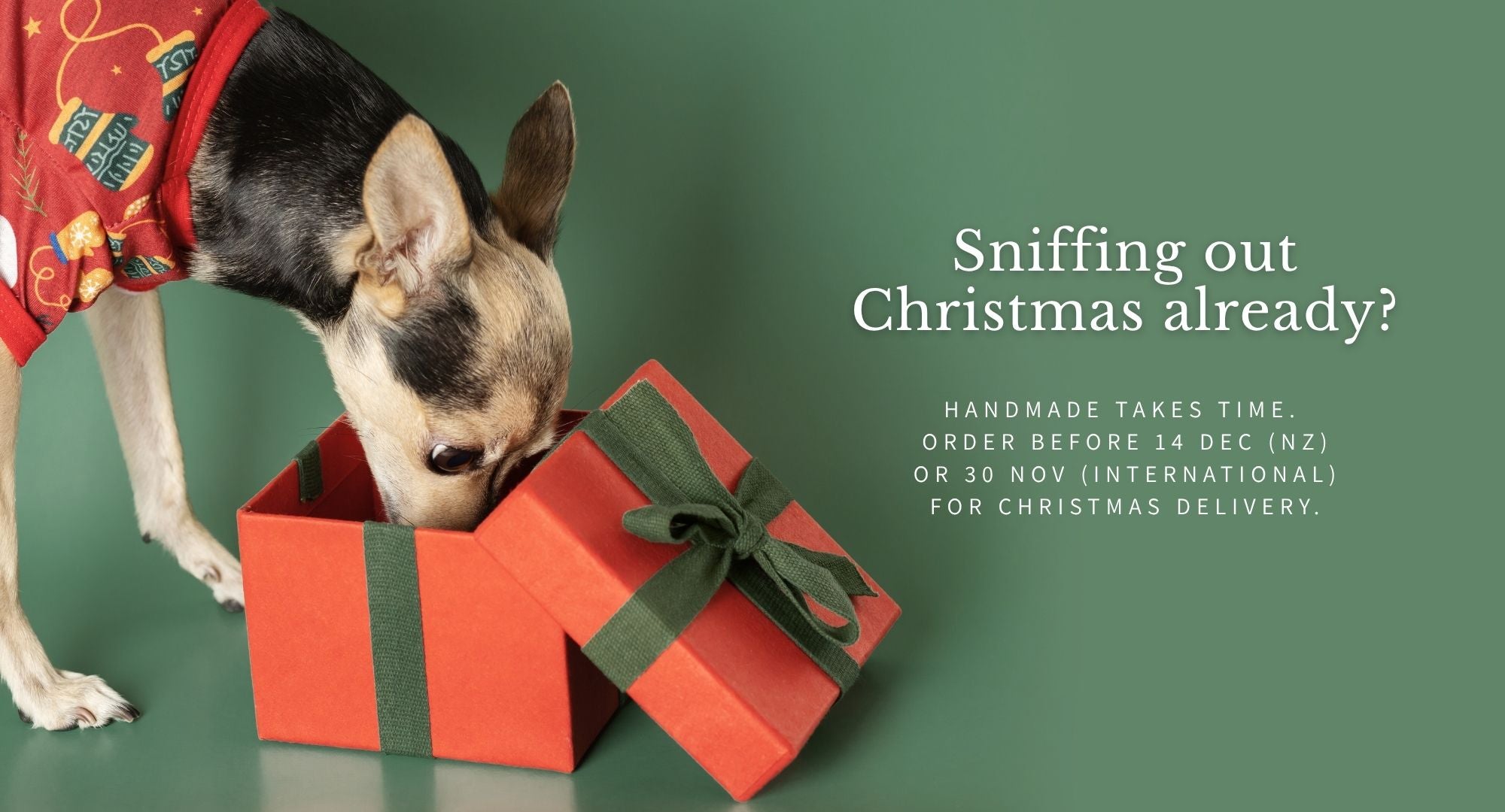 Dog sniffing a red gift box with text about Christmas delivery on a green background