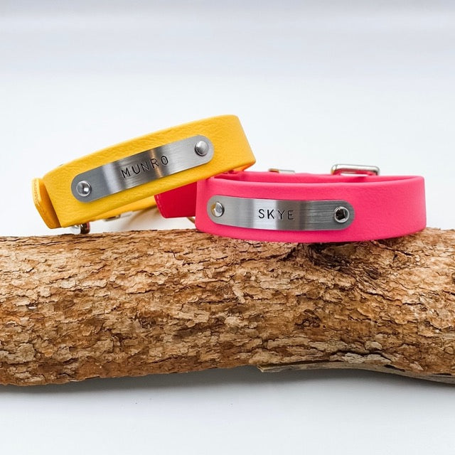 Yellow and pink dog collars with engraved names on a wooden branch